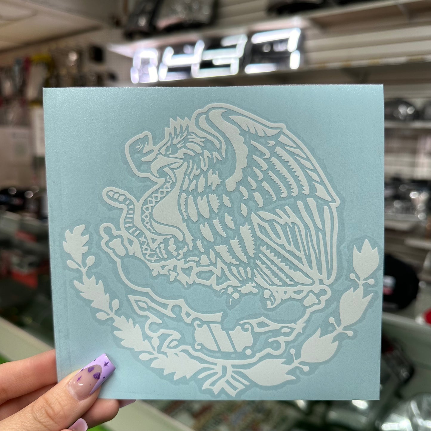 Eagle #3